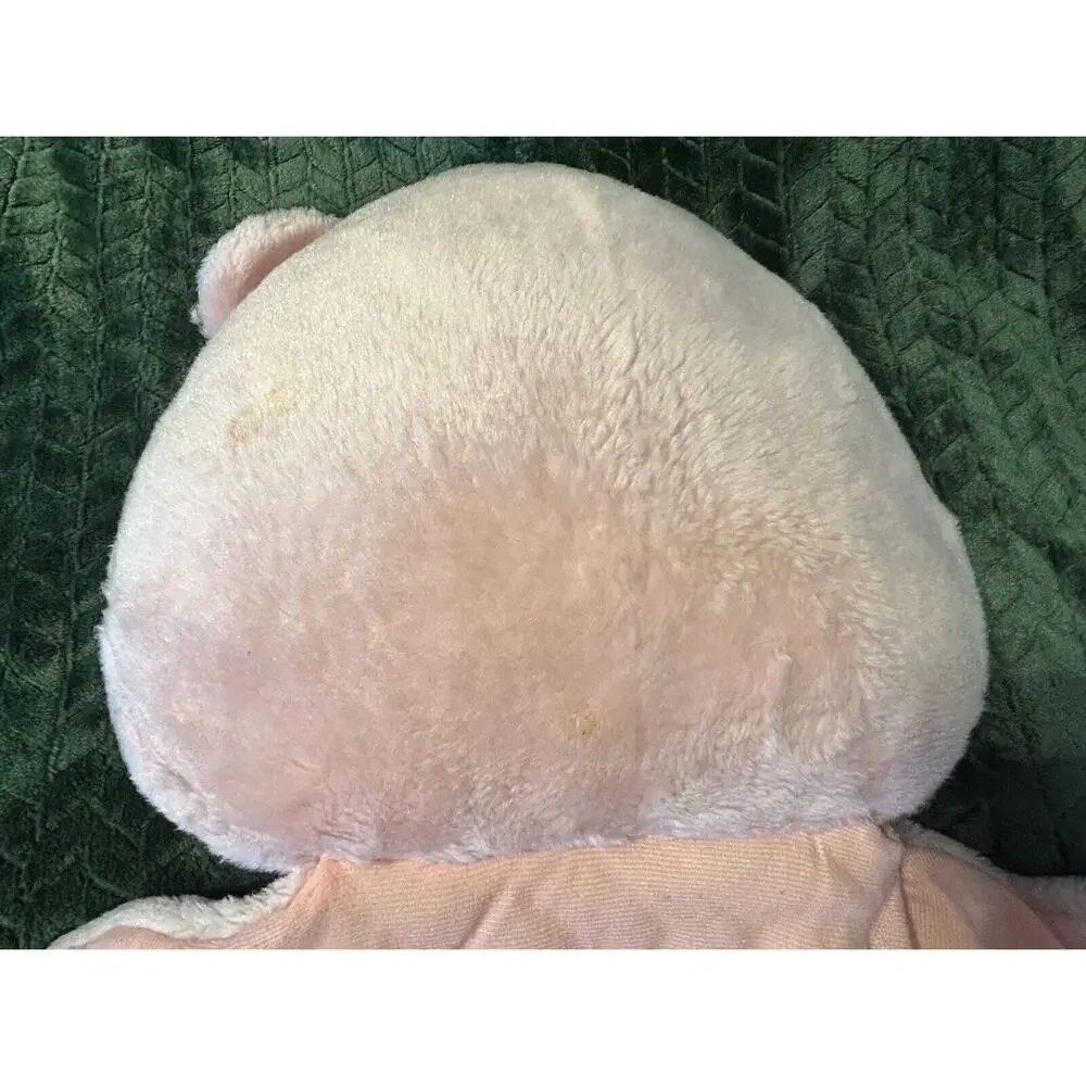 Care Bears 2003 VTG 37